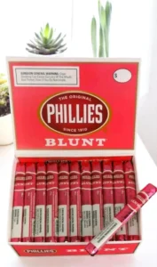 Phillies Chocolate 5*42 Quality Cigars