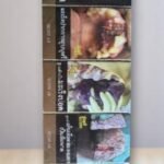 บุหรี่นอก iscore 5.0 (2เม็ดบีบ)พร้อมส่ง