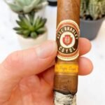 Alec Bradley Coyol รสชาติกลมกลืน 🎩