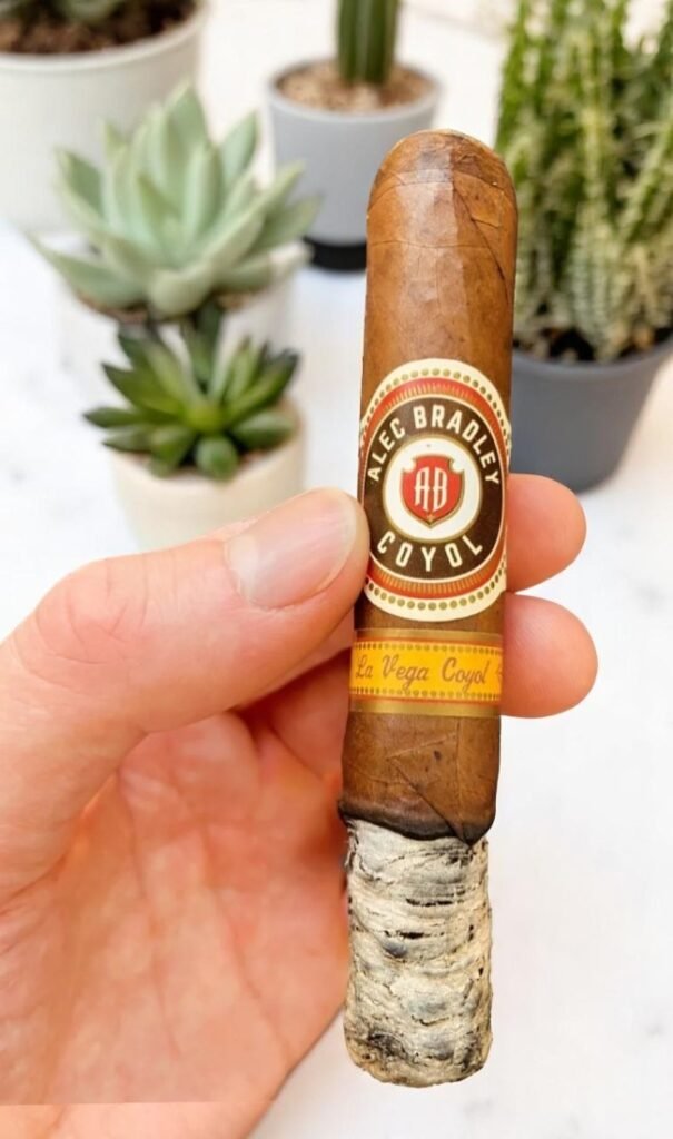 Alec Bradley Coyol รสชาติกลมกลืน 🎩