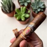 Alec Bradley Tempus Nicaragua รสชาติกลมกลืนที่คุณต้องลอง 🍃