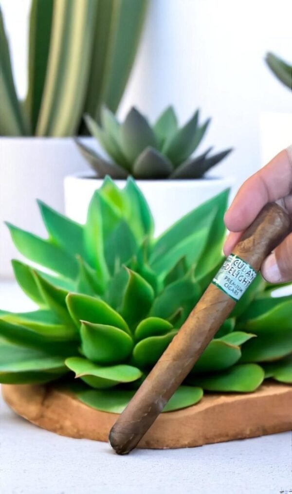 บุหรี่นอก Cuban Vanilla Flavored 5×50 (5มวน)