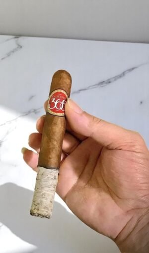 Famous 365 Toro 6×50 (20มวน)