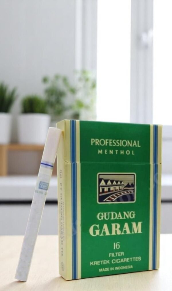 Garam Menthol - Image 2