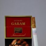 บุหรี่นอก Gudang Garam International (12มวน)