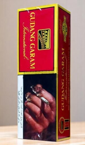 Gudang Garam International