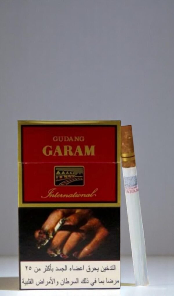 Gudang Garam International