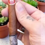 บุหรี่นอก H.Upmann Coronas Junior 4½x36 (25มวน)พร้อมส่ง