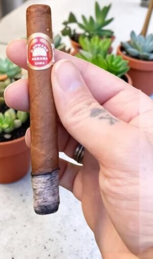 H.Upmann Coronas Junior 4½x36 (25มวน)