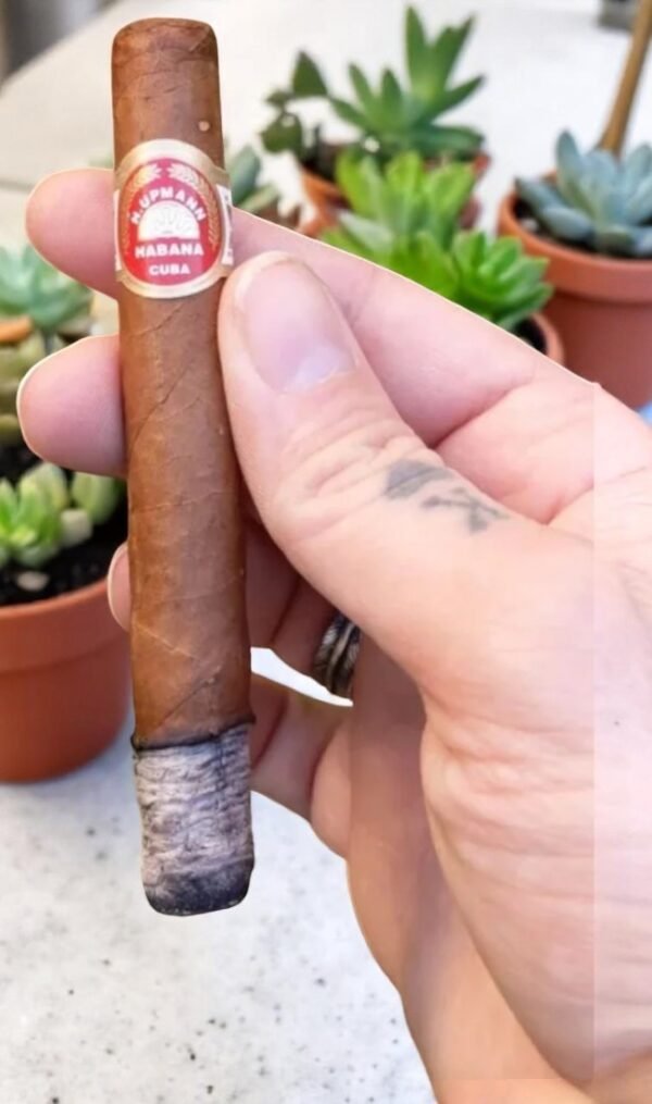 H.Upmann Coronas Junior 4½x36 (25มวน)