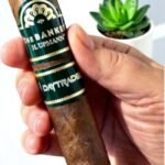 บุหรี่นอก H.Upmann The Banker Daytrader 6×52 (20มวน)พร้อมส่ง