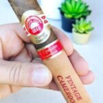 บุหรี่นอก H.Upmann Vintage Cameroon 6×54 (10มวน)พร้อมส่ง