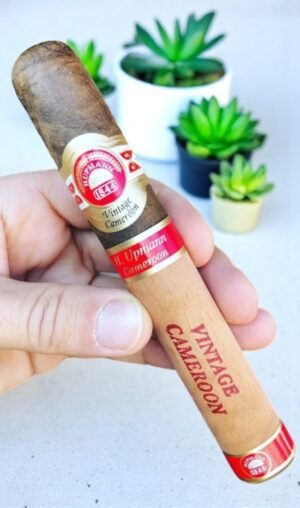 H.Upmann Vintage Cameroon 6×54 (10มวน)