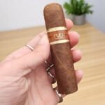 Nub Habano 4×60 for beginners