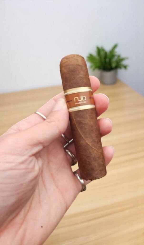 Nub Habano 4×60 for beginners