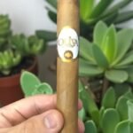 บุหรี่นอก Oliva Connecticut Reserve Toro 6×50 (20มวน)พร้อมส่ง