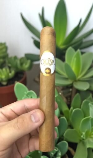 Oliva Connecticut Reserve Toro 6×50 (20มวน)