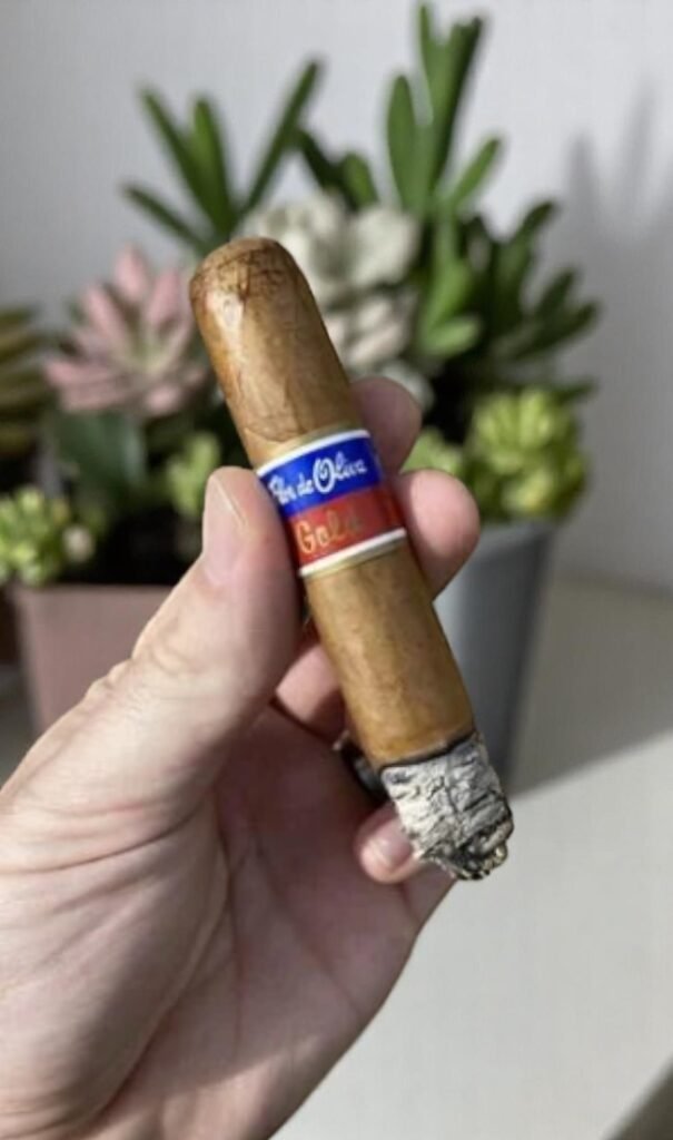 Oliva Flor De Oliva Toro 6*50 Online Purchase
