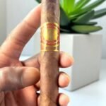 Oliva Gilberto Reserva Robusto 6×50 บุหรี่นำเข้าจากต่างประเทศ