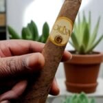 บุหรี่นอก Oliva Serie G Cameroon Figurado 6×60 (24มวน)พร้อมส่ง