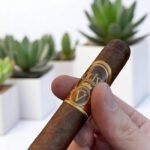 บุหรี่นอก Oliva Serie V Double Robusto 5×54 (24มวน)พร้อมส่ง