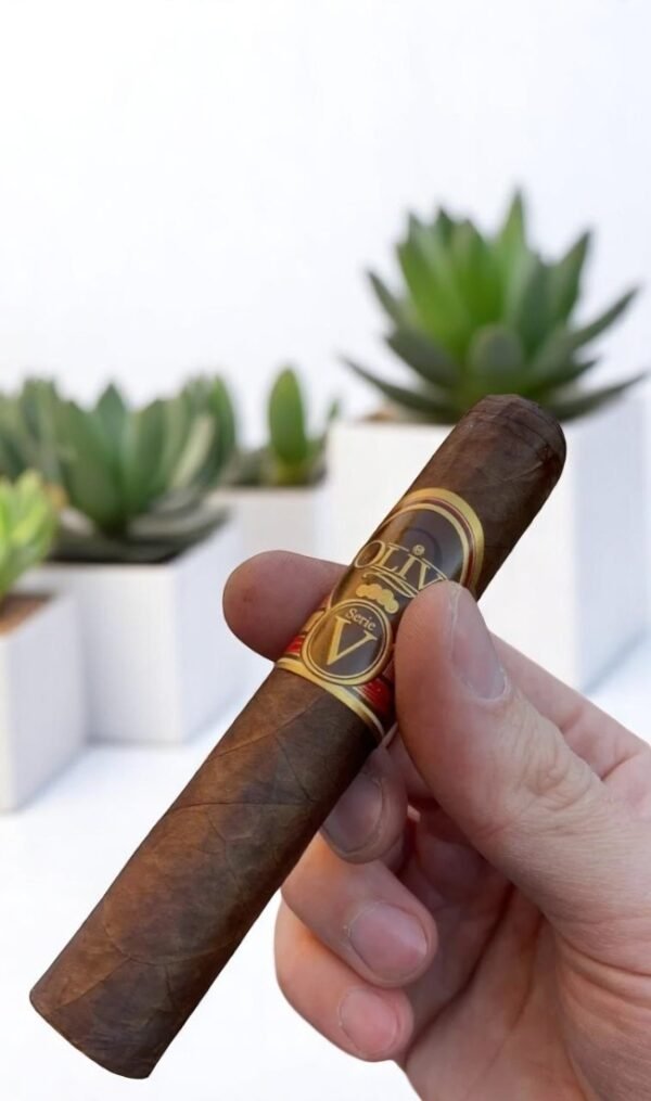 Oliva Serie V Double Robusto 5×54 (24มวน)