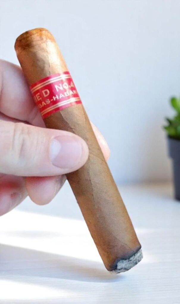 Cuban Partagas Serie D No.4