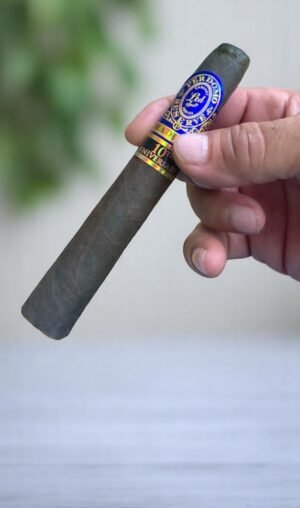 Perdomo 10th Anniversary Maduro 6×54 (20มวน)