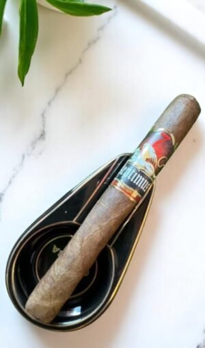 Septimus Toro Corojo 6×50
