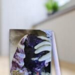 บุหรี่นอก iscore 5.0 (ซองอ่อน)